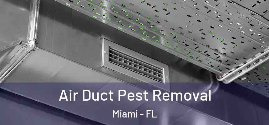 Air Duct Pest Removal Miami - FL