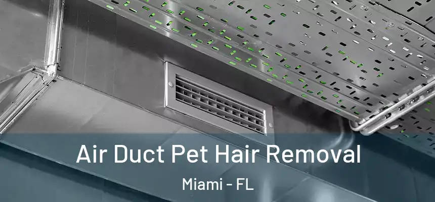 Air Duct Pet Hair Removal Miami - FL