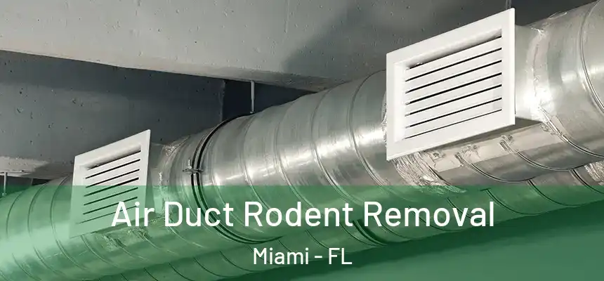 Air Duct Rodent Removal Miami - FL
