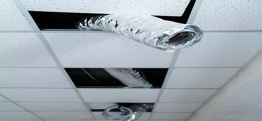 Our Air Duct Pet Hair Removal Services in Miami, FL