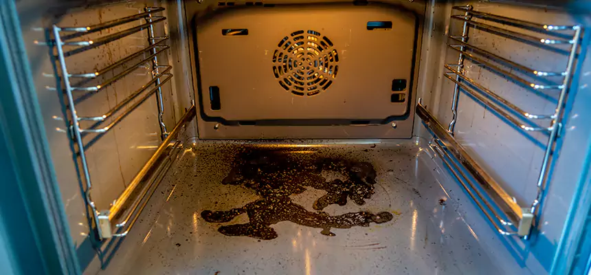 Our Dryer Vent Mold Cleaning Services in Miami, FL