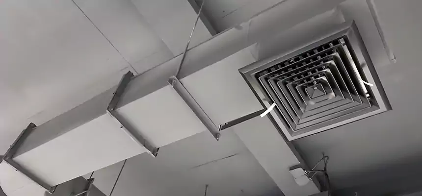 Our Pest Removal From Ducts Services in Miami, FL