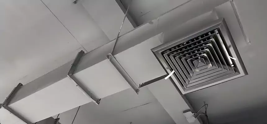 Our Rodent Droppings In Vents Services in Miami, FL