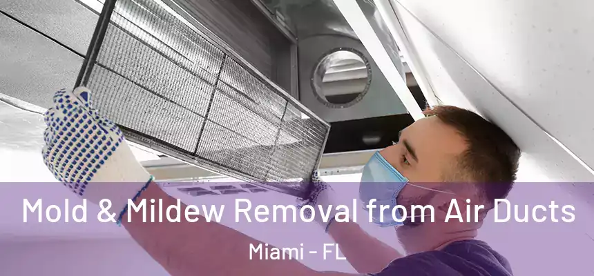 Mold & Mildew Removal from Air Ducts Miami - FL