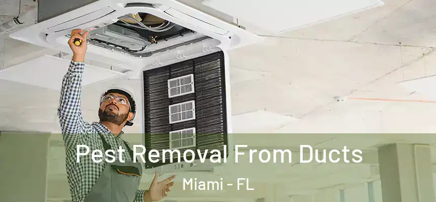 Pest Removal From Ducts Miami - FL