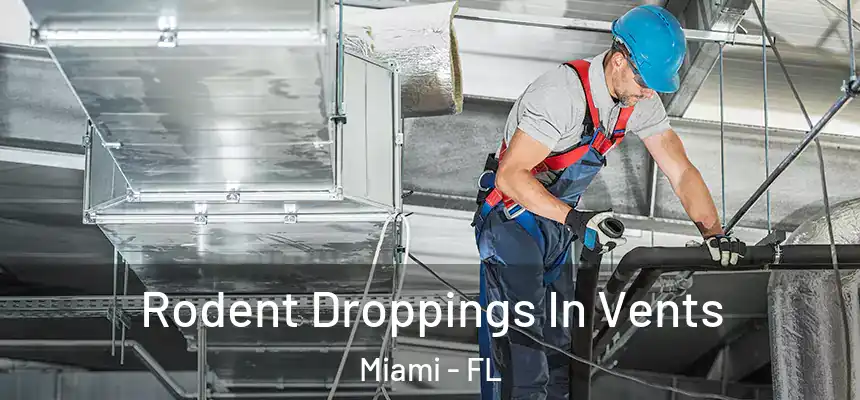 Rodent Droppings In Vents Miami - FL