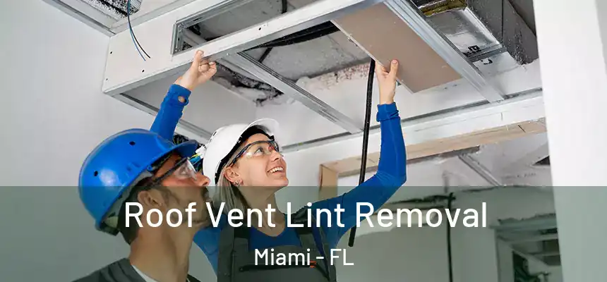 Roof Vent Lint Removal Miami - FL