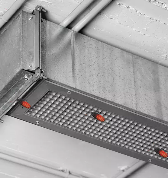 About Air Duct Cockroach Removal in Miami, FL