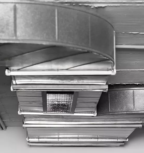 Professional Air Duct Pet Hair Removal in Miami, FL