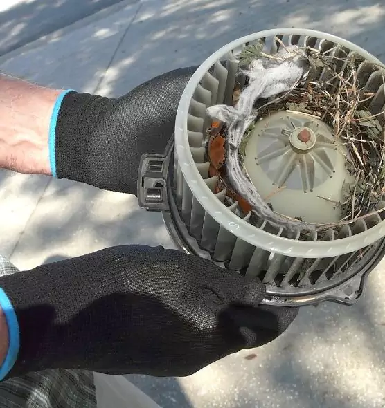 About Air Duct Rat Removal in Miami, FL