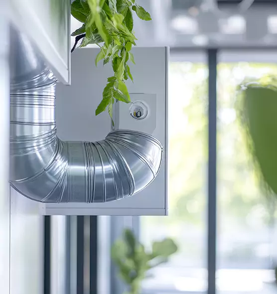 Professional Eco-Friendly Duct Cleaning Services in Miami, FL