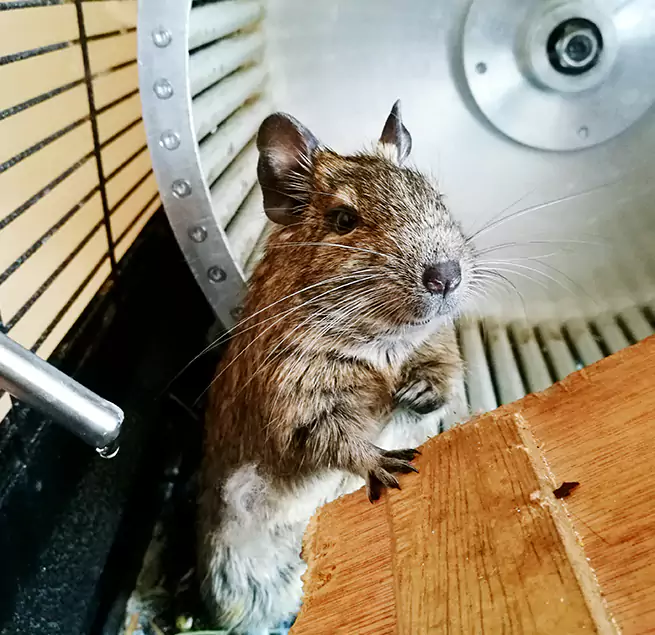 Why Homeowners & Businesses Trust Us Miami, FL?