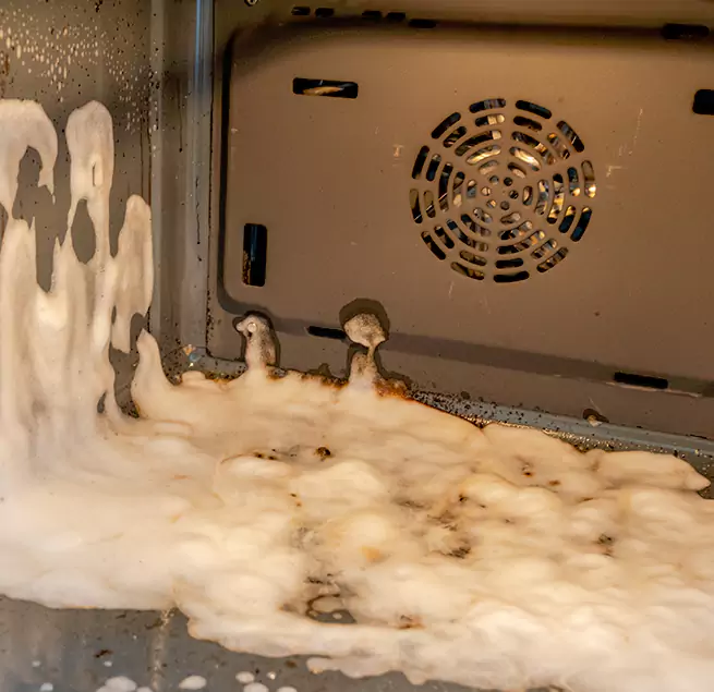 Why Homeowners & Businesses Trust Us in Miami, FL?