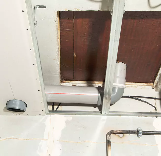 Why Homeowners & Businesses Trust Us in Miami, FL?