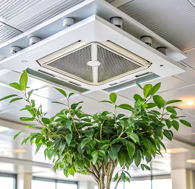 Why Homeowners & Businesses Trust Us in Miami, FL?