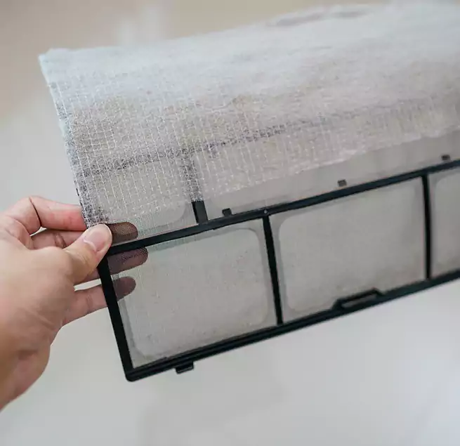 Why Homeowners & Businesses Trust Us in Miami, FL?