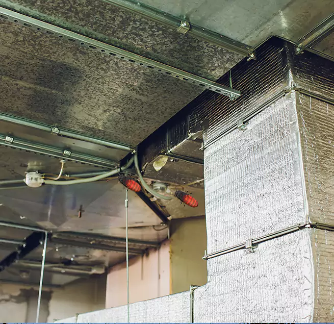 Why Homeowners & Businesses Trust Us Miami, FL?