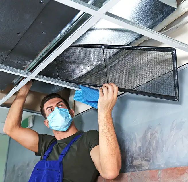 Why Homeowners & Businesses Trust Us in Miami, FL?