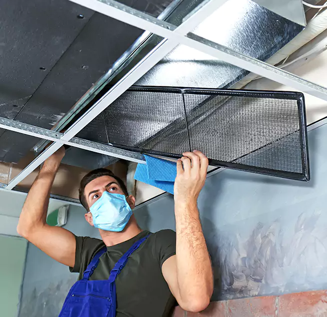 Why Homeowners Businesses Trust Us in Miami, FL?